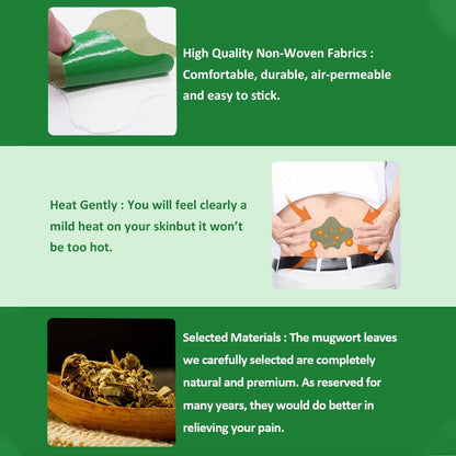 WellHealthis™ Back Pain Relief Patches
