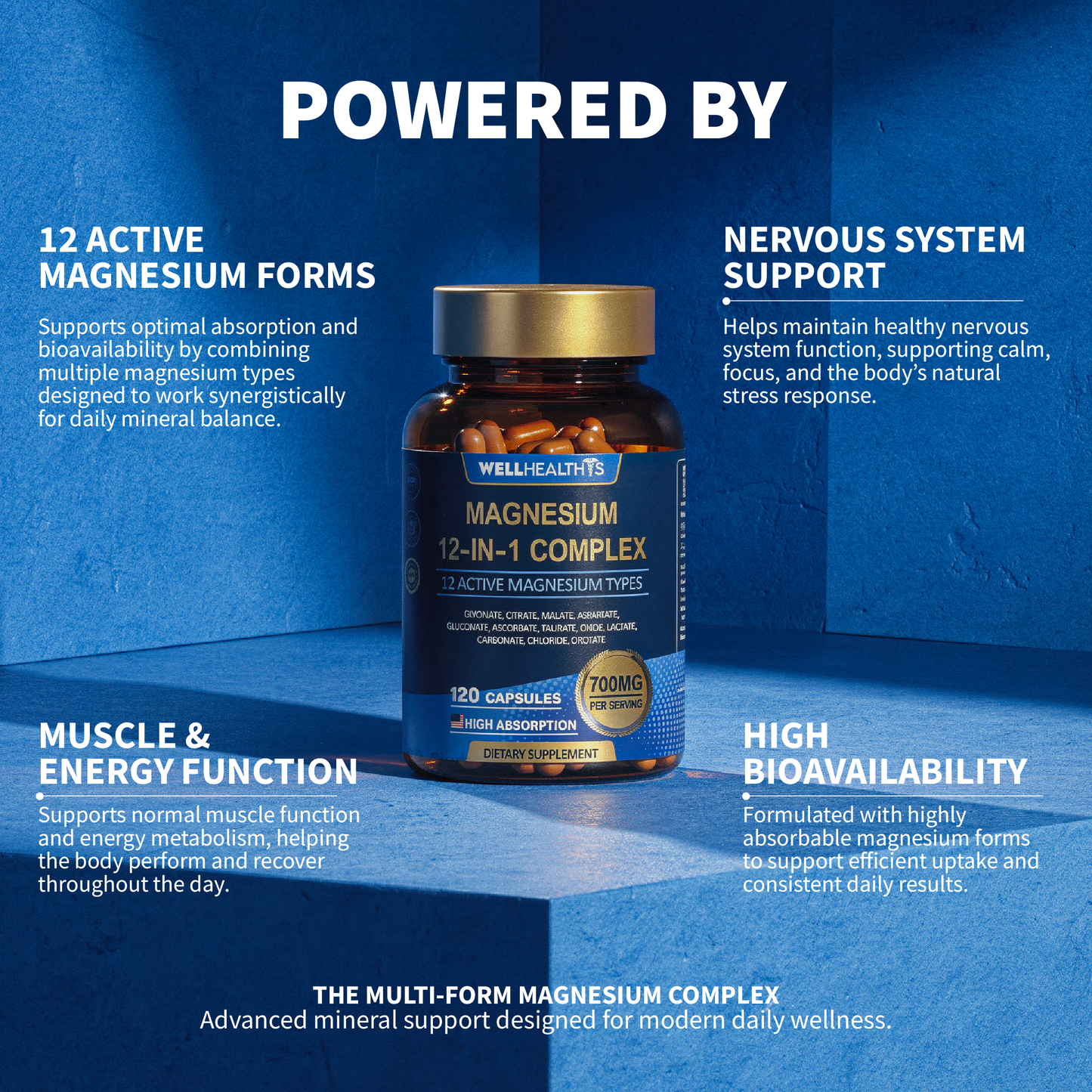 WellHealthis™ 12-in-1 Magnesium Complex