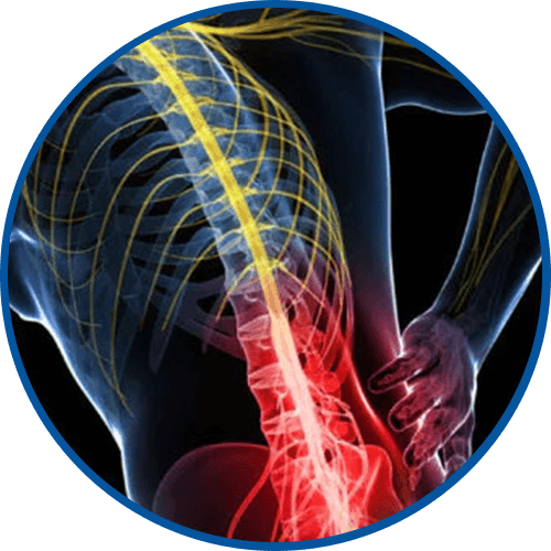 WellHealthis™ 360 Belt Decompression- 15 Minutes a Day to a Pain-Free Life image WellHealthis™ 360 Belt Decompression- 15 Minutes a Day to a Pain-Free Life