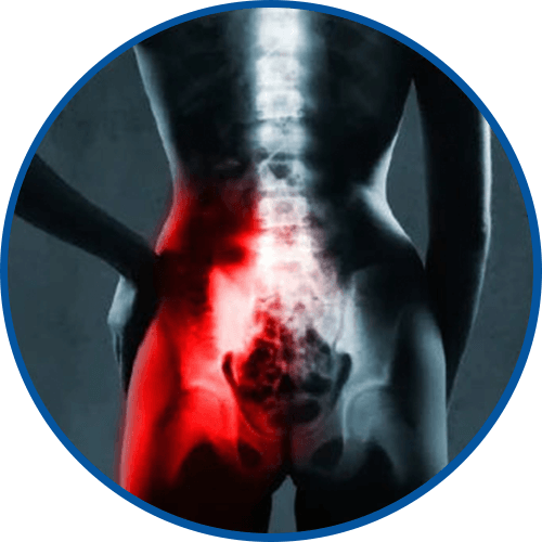 WellHealthis™ 360 Belt Decompression- 15 Minutes a Day to a Pain-Free Life image WellHealthis™ 360 Belt Decompression- 15 Minutes a Day to a Pain-Free Life